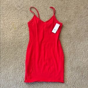 Wild Fable Red Mini Dress